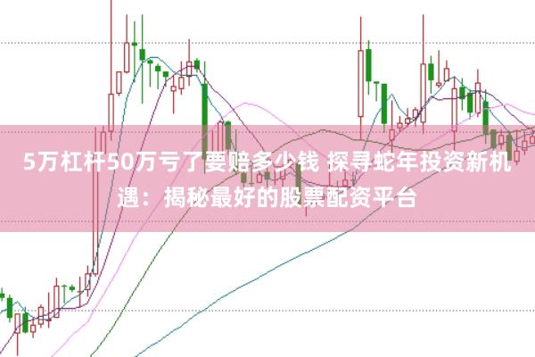 5万杠杆50万亏了要赔多少钱 探寻蛇年投资新机遇：揭秘最好的股票配资平台