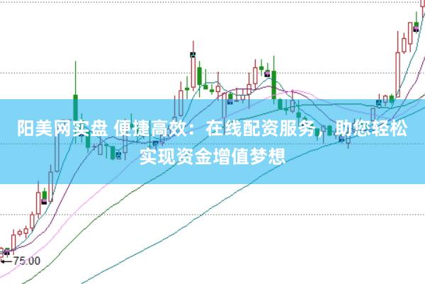 阳美网实盘 便捷高效：在线配资服务，助您轻松实现资金增值梦想