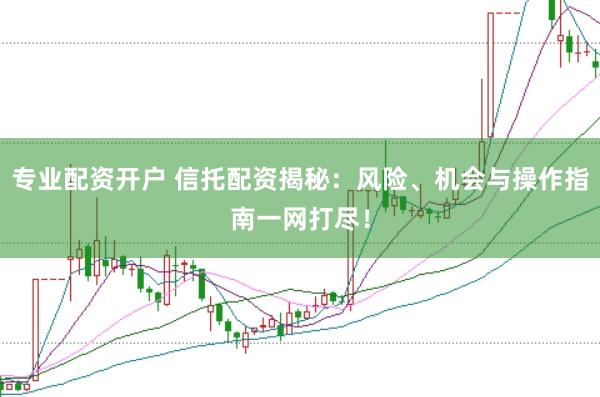 专业配资开户 信托配资揭秘：风险、机会与操作指南一网打尽！