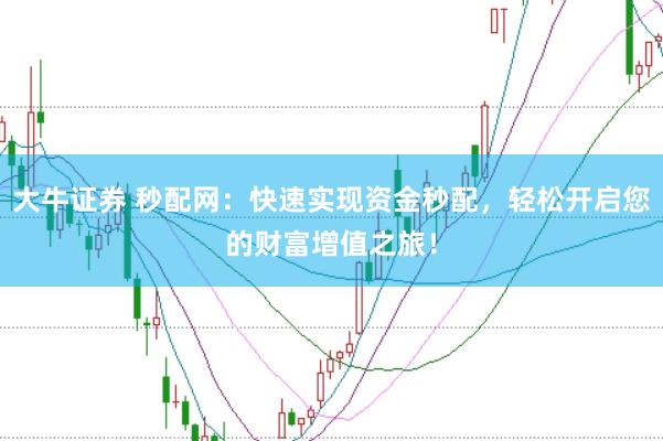 大牛证券 秒配网：快速实现资金秒配，轻松开启您的财富增值之旅！
