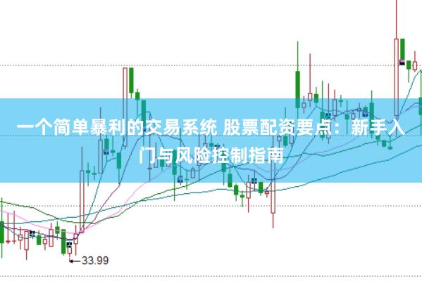一个简单暴利的交易系统 股票配资要点：新手入门与风险控制指南