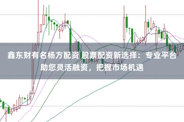 鑫东财有名杨方配资 股票配资新选择：专业平台助您灵活融资，把握市场机遇