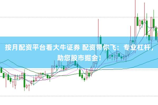 按月配资平台看大牛证券 配资带你飞：专业杠杆，助您股市掘金！