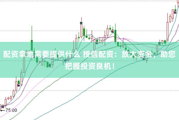 配资拿地需要提供什么 授信配资：放大资金，助您把握投资良机！
