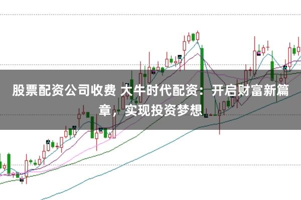 股票配资公司收费 大牛时代配资：开启财富新篇章，实现投资梦想