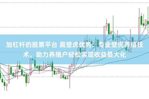 加杠杆的股票平台 赢壁虎优势：专业壁虎养殖技术，助力养殖户轻松实现收益最大化