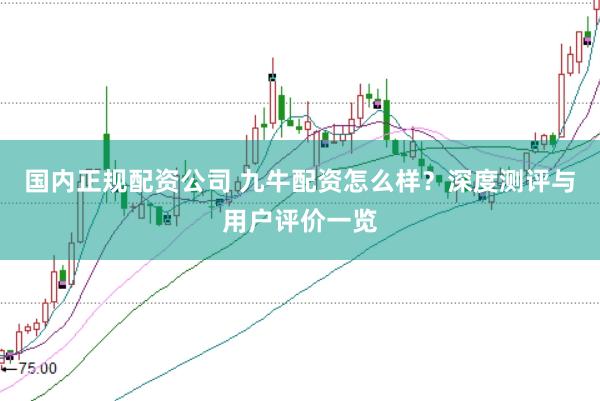 国内正规配资公司 九牛配资怎么样?深度测评与用户评价一览