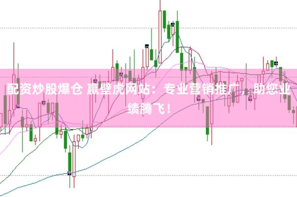 配资炒股爆仓 赢壁虎网站：专业营销推广，助您业绩腾飞！