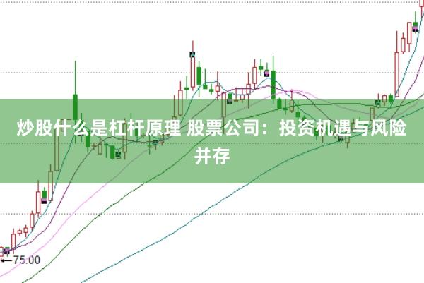 炒股什么是杠杆原理 股票公司：投资机遇与风险并存