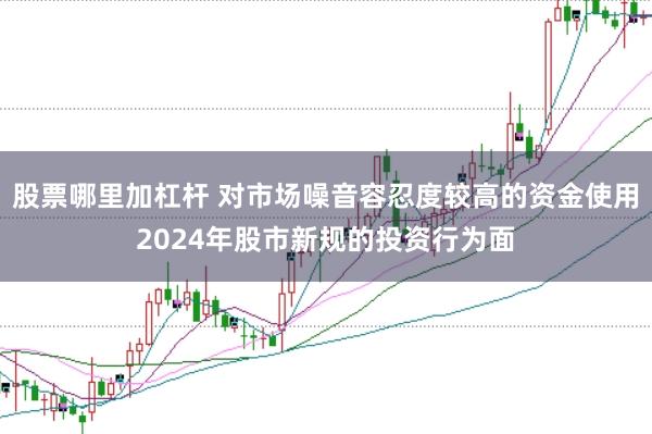 股票哪里加杠杆 对市场噪音容忍度较高的资金使用2024年股市新规的投资行为面