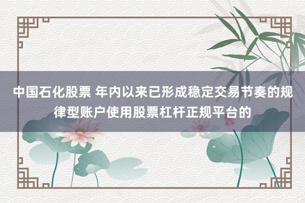 中国石化股票 年内以来已形成稳定交易节奏的规律型账户使用股票杠杆正规平台的