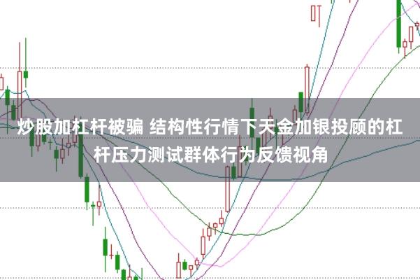 炒股加杠杆被骗 结构性行情下天金加银投顾的杠杆压力测试群体行为反馈视角