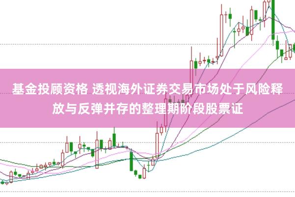 基金投顾资格 透视海外证券交易市场处于风险释放与反弹并存的整理期阶段股票证