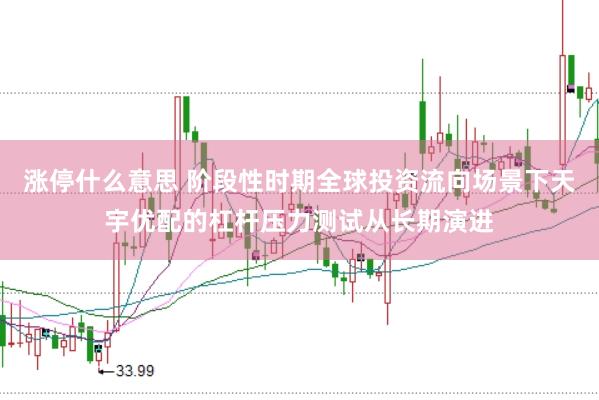 涨停什么意思 阶段性时期全球投资流向场景下天宇优配的杠杆压力测试从长期演进