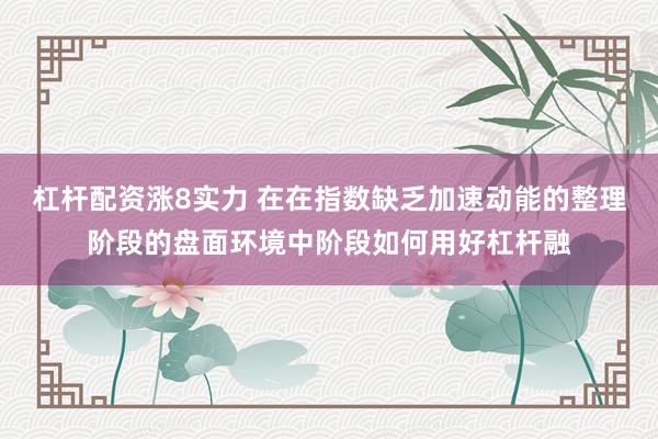 杠杆配资涨8实力 在在指数缺乏加速动能的整理阶段的盘面环境中阶段如何用好杠杆融