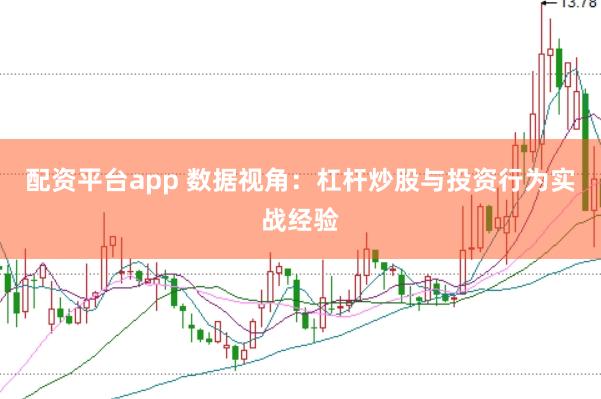 配资平台app 数据视角：杠杆炒股与投资行为实战经验