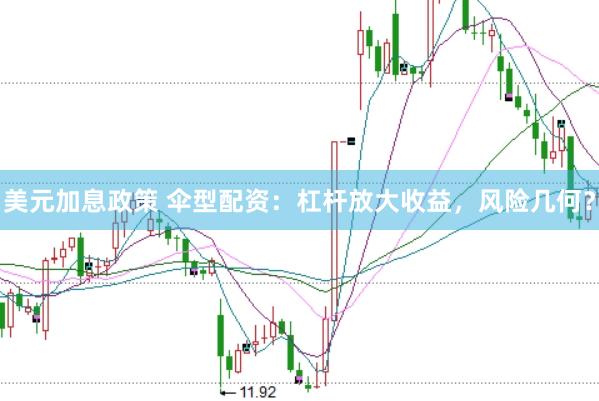 美元加息政策 伞型配资：杠杆放大收益，风险几何？
