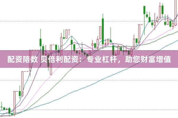 配资陪数 贝倍利配资：专业杠杆，助您财富增值